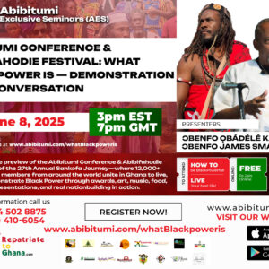 Baba James Small on the Abibitumi Conference & Abibifahodie Festival: What Black Power Is — Demonstration Over Conversation